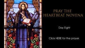 Heartbeat Novena day eight