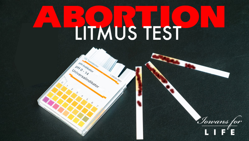 abortion litmus test