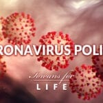Coronavirus politics