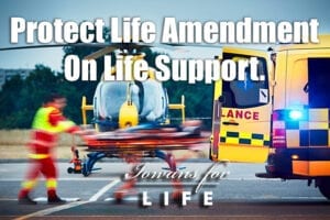 protect life amendment