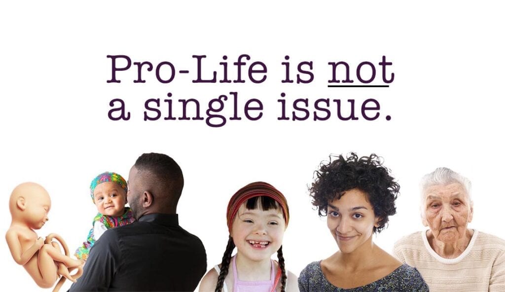single issue pro-life voter