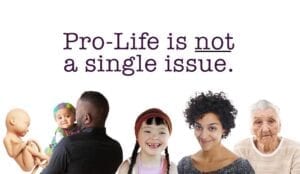 single issue pro-life voter