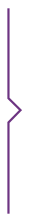 purple arrow3