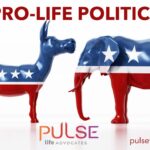 pro-life political issue