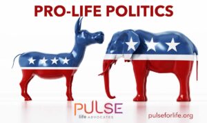 pro-life political issue