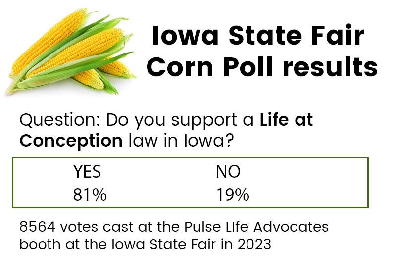2023 Corn Poll