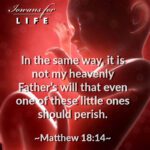 matthew 18-14