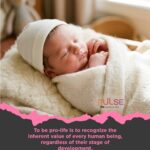 save haven baby