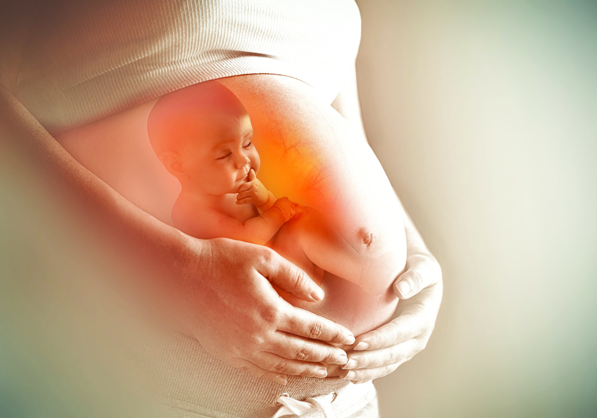 Pregnant woman's belly closeup with a baby inside, conceptual motherhood image