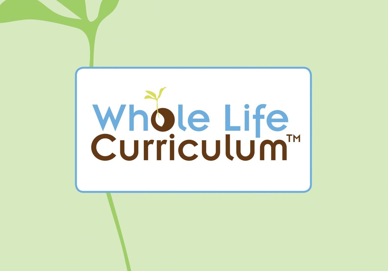 curriculum cover rgb